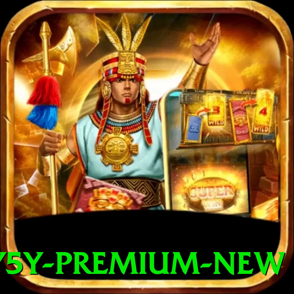 5y5y Premium New - pro